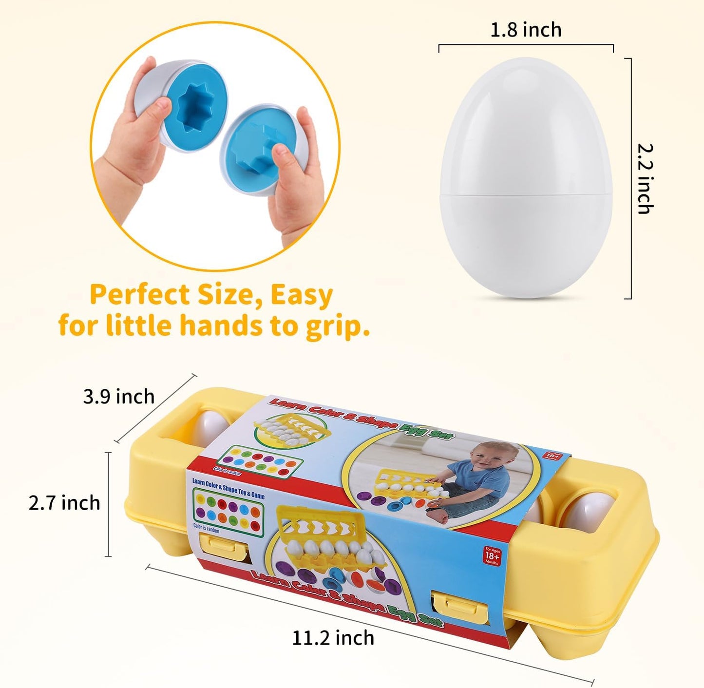 Interactive Learning Eggs